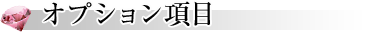 オプション項目